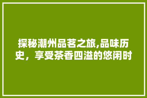 探秘潮州品茗之旅,品味历史，享受茶香四溢的悠闲时光