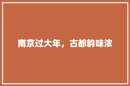 南京过大年，古都韵味浓  第1张