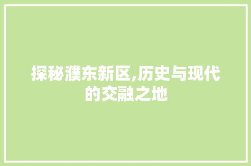 探秘濮东新区,历史与现代的交融之地