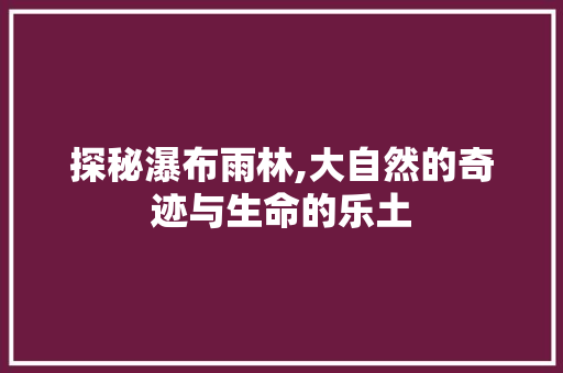 探秘瀑布雨林,大自然的奇迹与生命的乐土