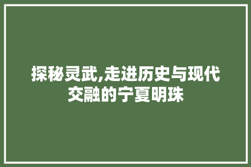 探秘灵武,走进历史与现代交融的宁夏明珠