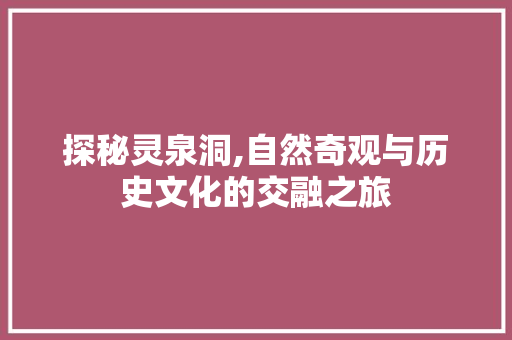 探秘灵泉洞,自然奇观与历史文化的交融之旅