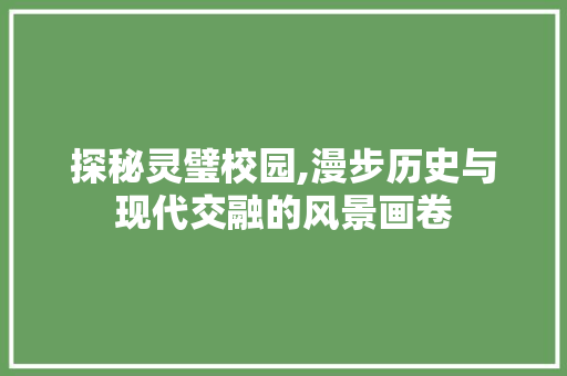 探秘灵璧校园,漫步历史与现代交融的风景画卷  第1张