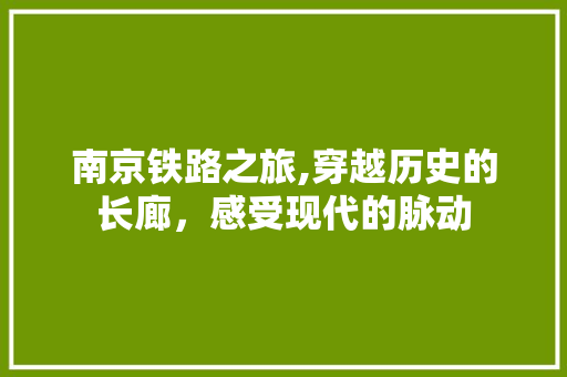 南京铁路之旅,穿越历史的长廊，感受现代的脉动  第1张