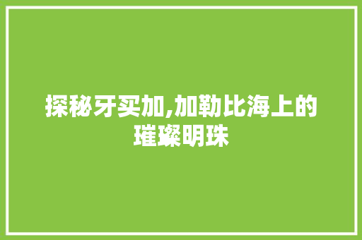 探秘牙买加,加勒比海上的璀璨明珠