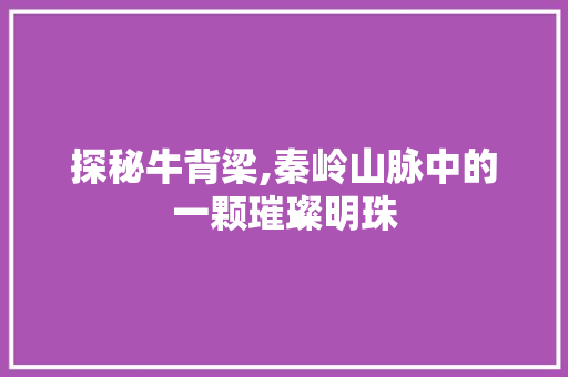 探秘牛背梁,秦岭山脉中的一颗璀璨明珠