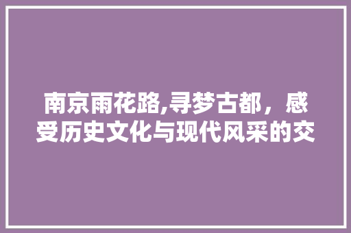 南京雨花路,寻梦古都，感受历史文化与现代风采的交融