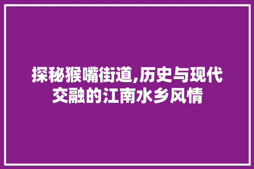 探秘猴嘴街道,历史与现代交融的江南水乡风情