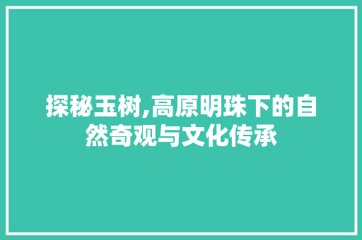 探秘玉树,高原明珠下的自然奇观与文化传承