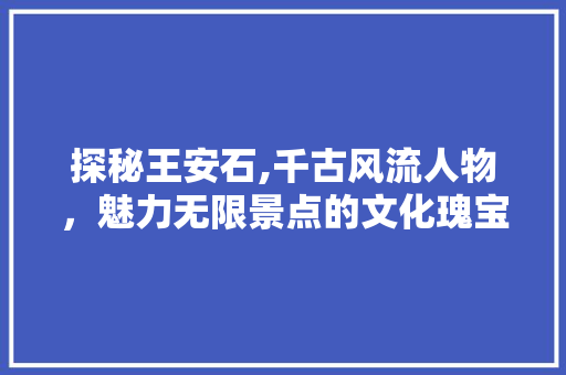 探秘王安石,千古风流人物，魅力无限景点的文化瑰宝