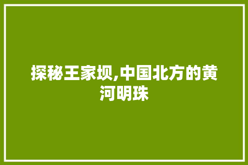 探秘王家坝,中国北方的黄河明珠