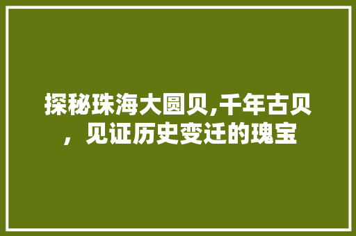 探秘珠海大圆贝,千年古贝，见证历史变迁的瑰宝  第1张