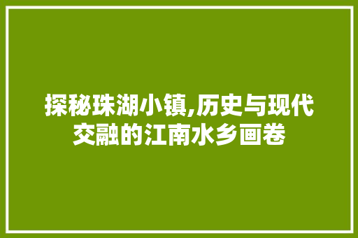 探秘珠湖小镇,历史与现代交融的江南水乡画卷  第1张