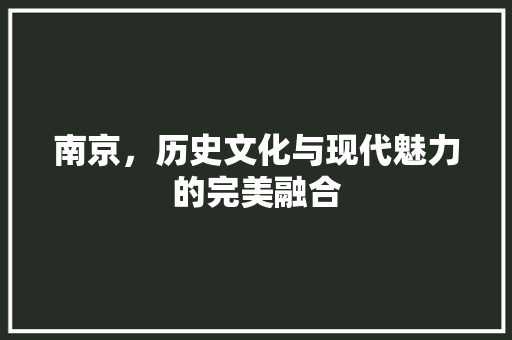 南京，历史文化与现代魅力的完美融合