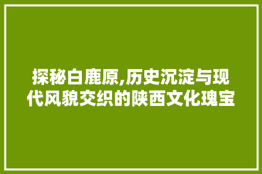 探秘白鹿原,历史沉淀与现代风貌交织的陕西文化瑰宝