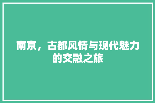 南京，古都风情与现代魅力的交融之旅  第1张