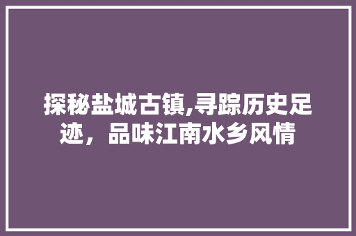 探秘盐城古镇,寻踪历史足迹，品味江南水乡风情