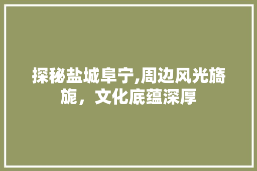 探秘盐城阜宁,周边风光旖旎，文化底蕴深厚