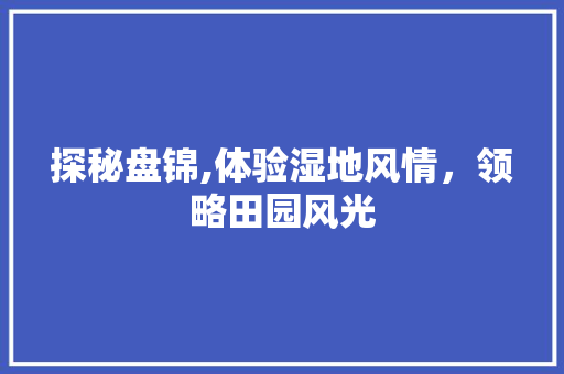 探秘盘锦,体验湿地风情，领略田园风光  第1张