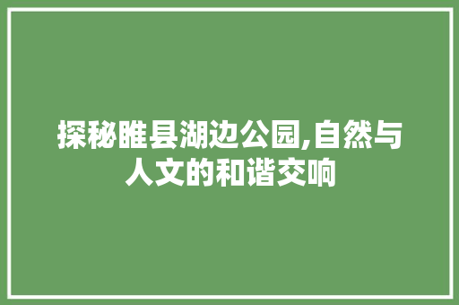 探秘睢县湖边公园,自然与人文的和谐交响