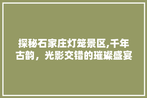 探秘石家庄灯笼景区,千年古韵，光影交错的璀璨盛宴