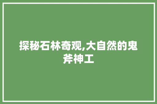 探秘石林奇观,大自然的鬼斧神工