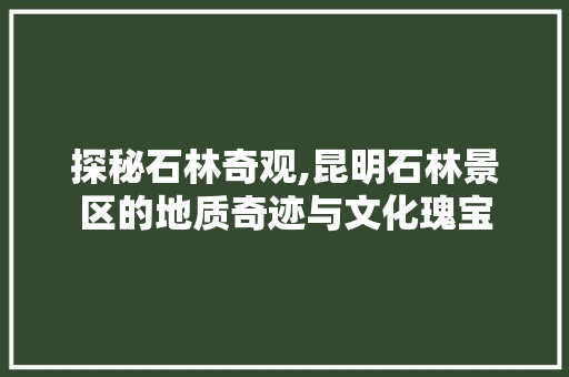 探秘石林奇观,昆明石林景区的地质奇迹与文化瑰宝  第1张