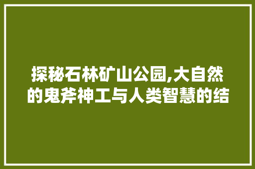 探秘石林矿山公园,大自然的鬼斧神工与人类智慧的结晶  第1张