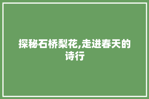 探秘石桥梨花,走进春天的诗行  第1张