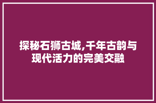 探秘石狮古城,千年古韵与现代活力的完美交融