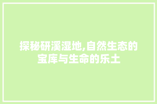 探秘研溪湿地,自然生态的宝库与生命的乐土