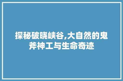 探秘破晓峡谷,大自然的鬼斧神工与生命奇迹