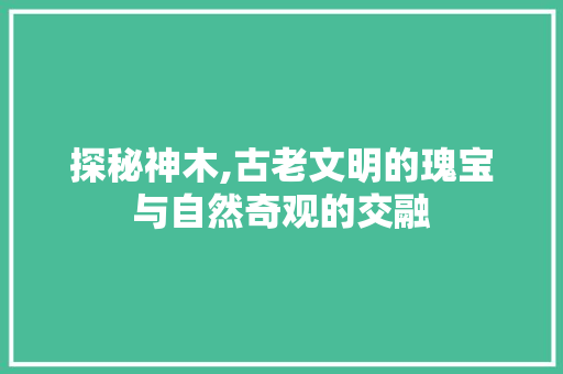 探秘神木,古老文明的瑰宝与自然奇观的交融  第1张