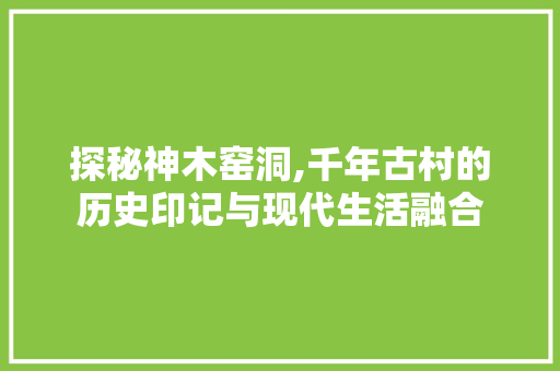 探秘神木窑洞,千年古村的历史印记与现代生活融合  第1张