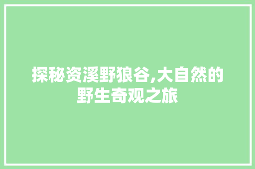 探秘资溪野狼谷,大自然的野生奇观之旅  第1张