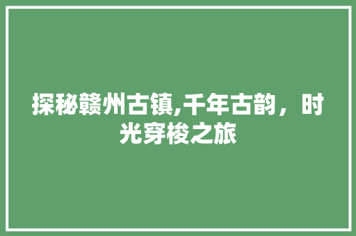 探秘赣州古镇,千年古韵，时光穿梭之旅