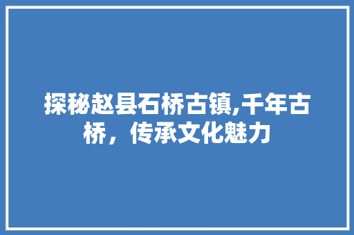 探秘赵县石桥古镇,千年古桥，传承文化魅力