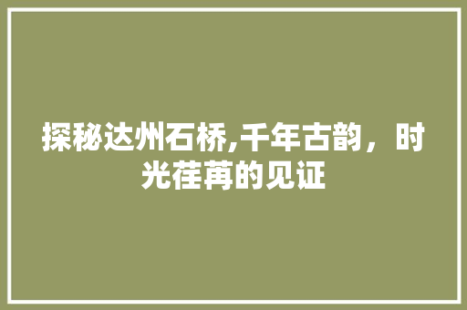 探秘达州石桥,千年古韵，时光荏苒的见证