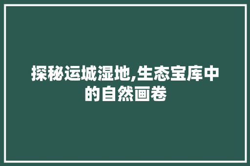 探秘运城湿地,生态宝库中的自然画卷  第1张