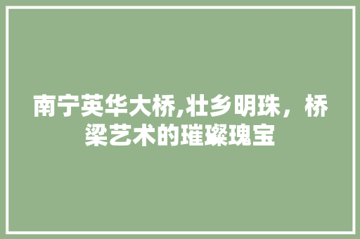 南宁英华大桥,壮乡明珠，桥梁艺术的璀璨瑰宝