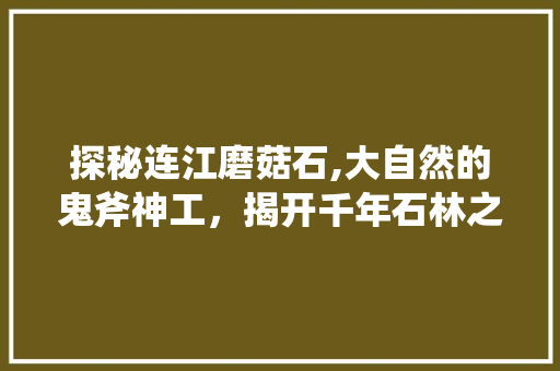 探秘连江磨菇石,大自然的鬼斧神工，揭开千年石林之谜