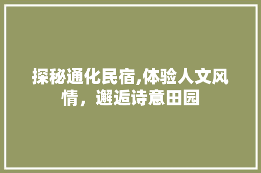 探秘通化民宿,体验人文风情，邂逅诗意田园