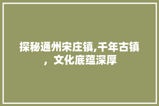 探秘通州宋庄镇,千年古镇，文化底蕴深厚