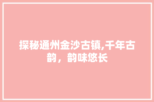 探秘通州金沙古镇,千年古韵，韵味悠长  第1张