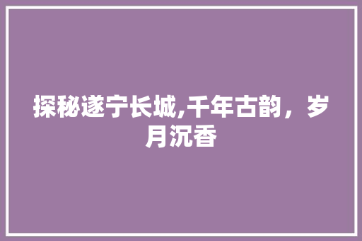 探秘遂宁长城,千年古韵，岁月沉香  第1张