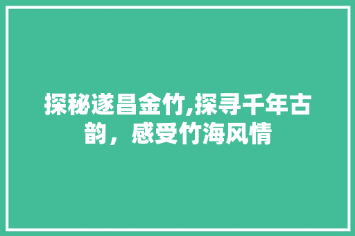 探秘遂昌金竹,探寻千年古韵，感受竹海风情