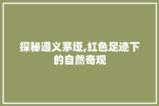 探秘遵义茅垭,红色足迹下的自然奇观