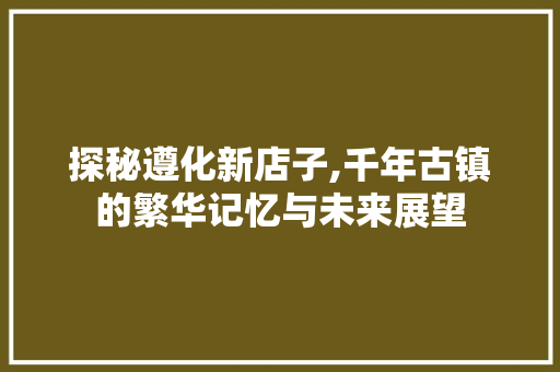 探秘遵化新店子,千年古镇的繁华记忆与未来展望  第1张