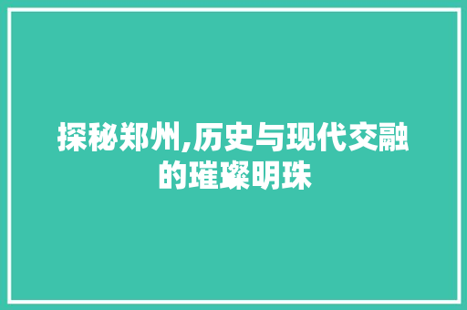 探秘郑州,历史与现代交融的璀璨明珠