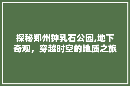 探秘郑州钟乳石公园,地下奇观，穿越时空的地质之旅  第1张